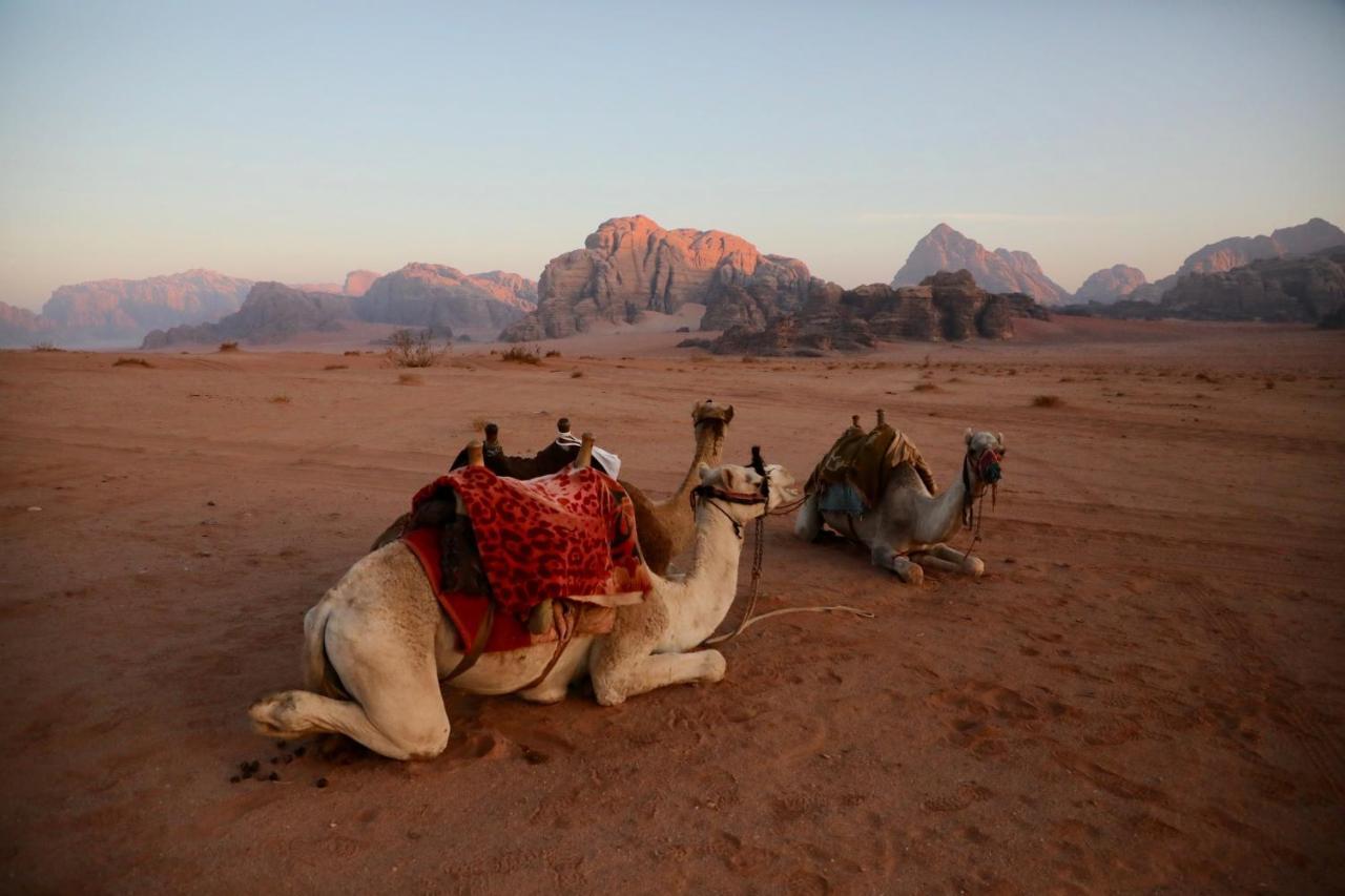 Rum Stars Camp Wadi Rum Exterior foto